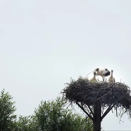Pod Kogutem Alojamento de Turismo Rural Dziwnówek