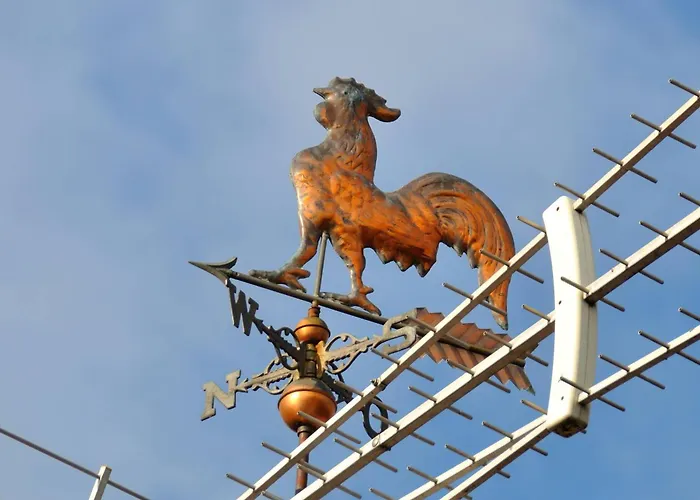 Pod Kogutem Dziwnowek